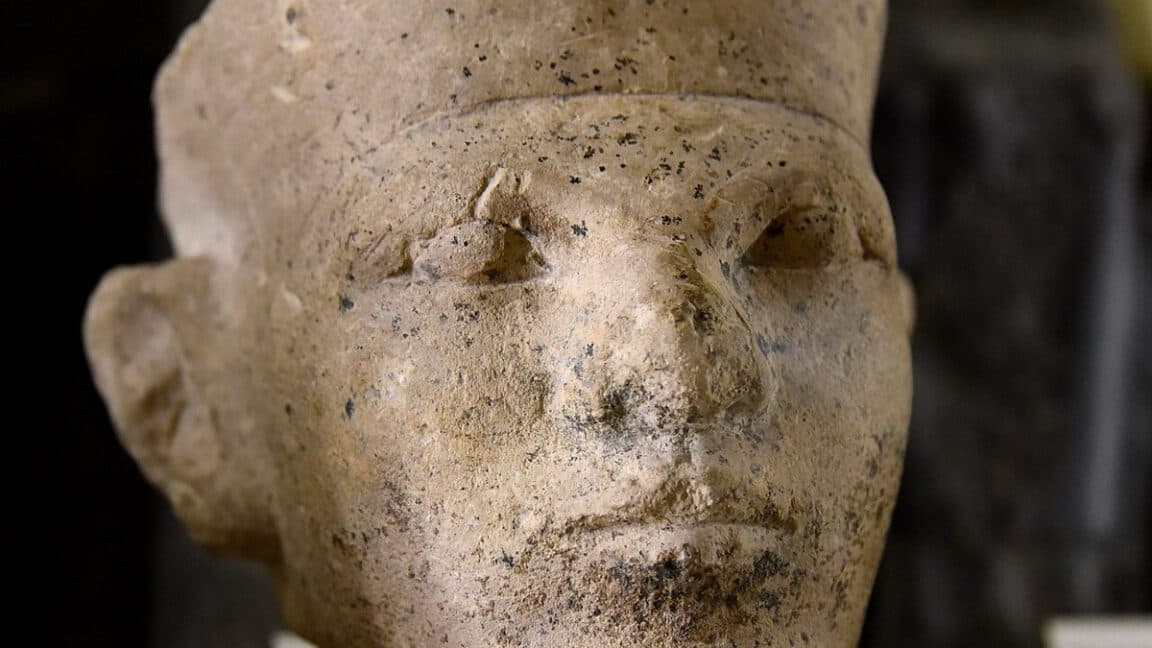 Forensic Analysis Revives Ancient Egyptian Retainer Sacrifice